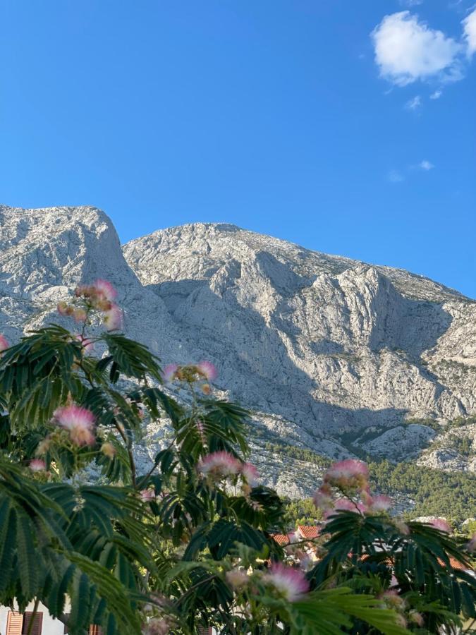 Heaven'S View Apartments Baška Voda Εξωτερικό φωτογραφία