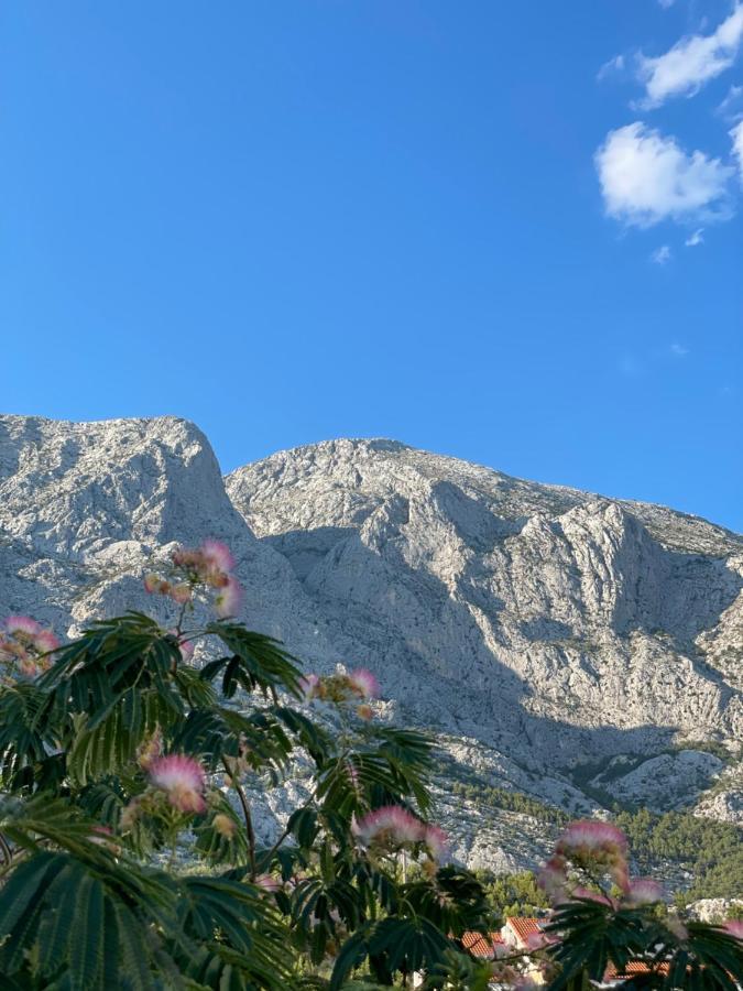 Heaven'S View Apartments Baška Voda Εξωτερικό φωτογραφία
