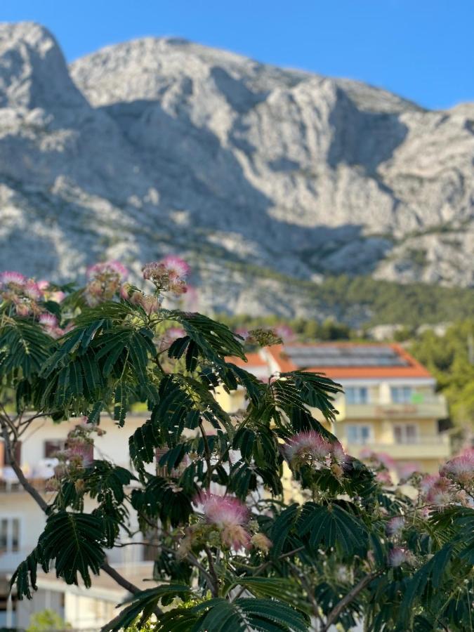 Heaven'S View Apartments Baška Voda Εξωτερικό φωτογραφία